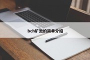 bch矿池的简单介绍