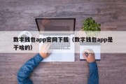 数字钱包app官网下载（数字钱包app是干啥的）