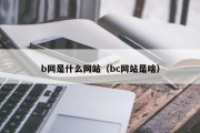 b网是什么网站（bc网站是啥）