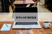 关于bch矿池的信息